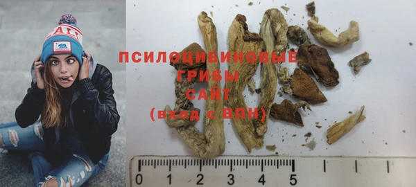 хмурый Костерёво