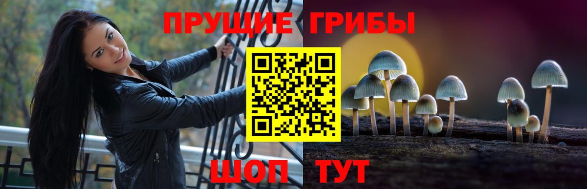 Псилоцибиновые грибы MAGIC MUSHROOMS  Псилоцибиновые грибы прущие грибы  Вход с VPN  Шуя 
