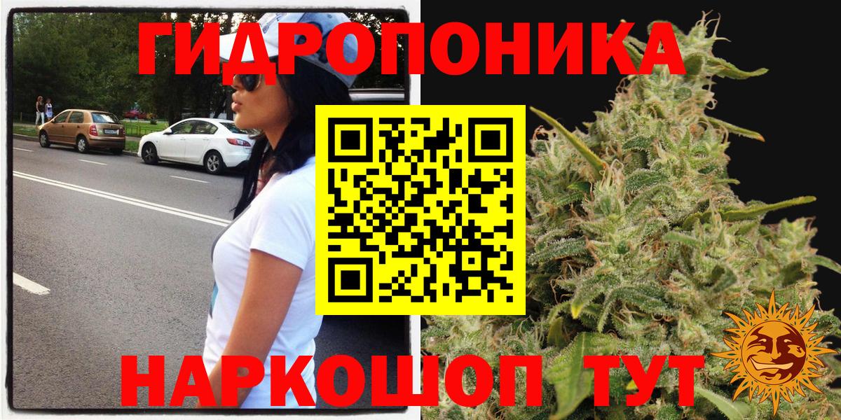 Шуя  Марихуана семена  Канабис индика  МАРИХУАНА AK-47  Вход с VPN 
