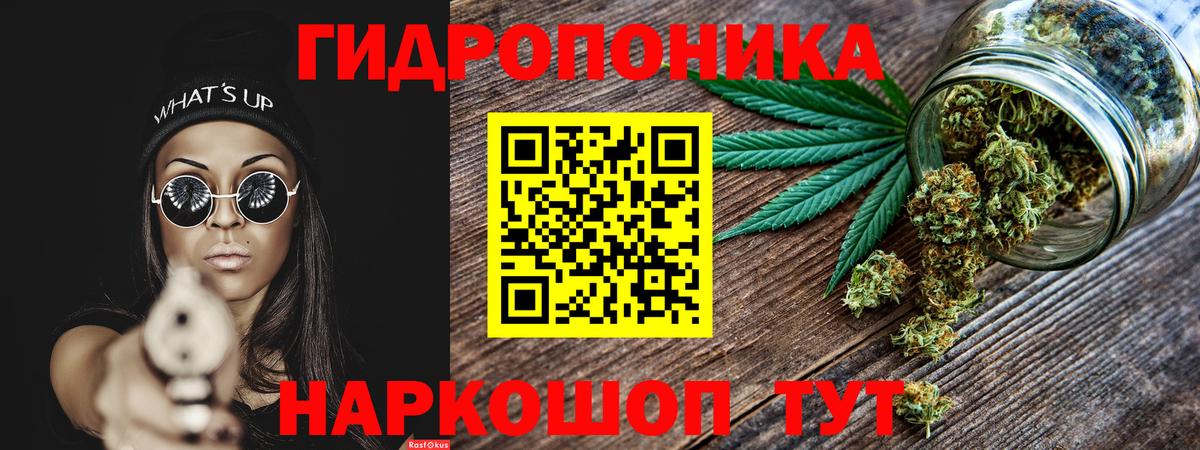Марихуана семена Шуя